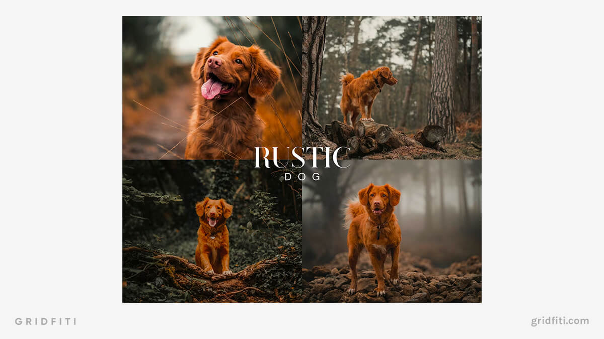 Rustic Dog Presets