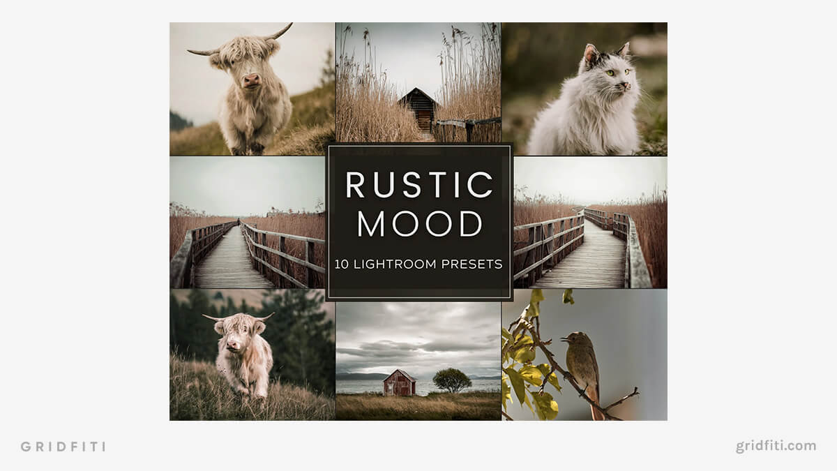 Rustic Mood Presets