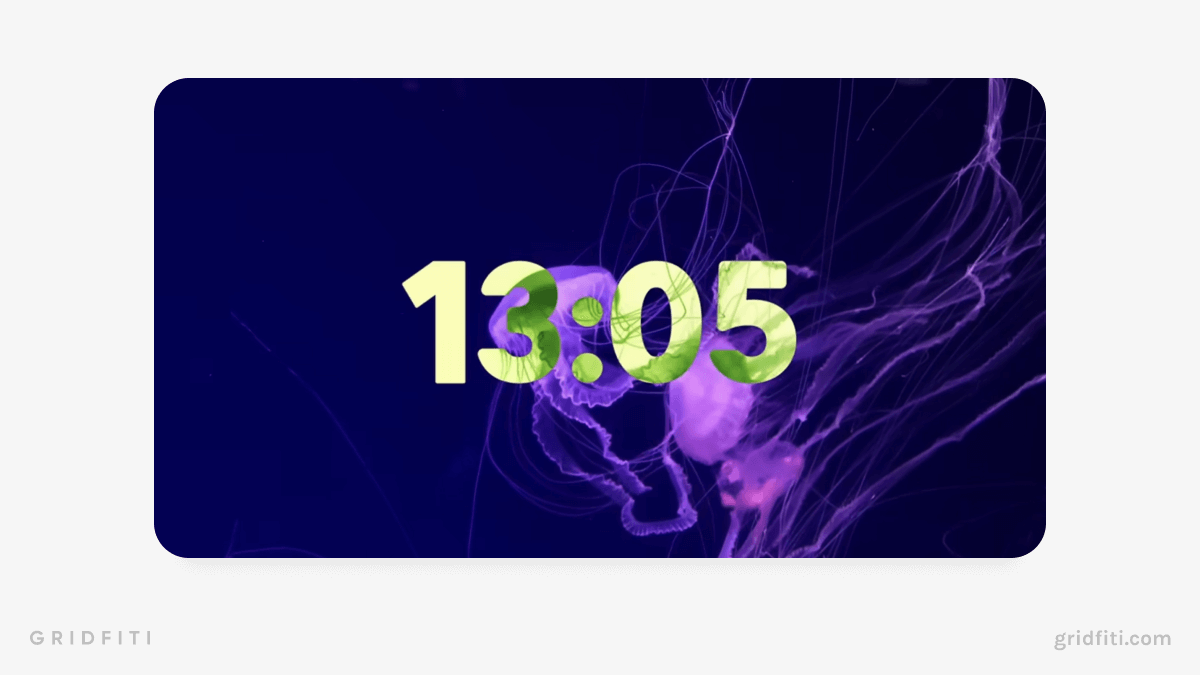 Jelly Fish Timer