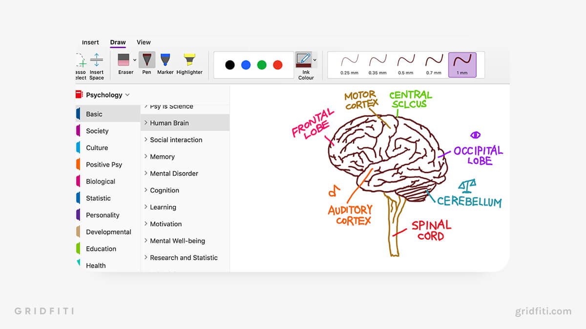 OneNote for Note-taking