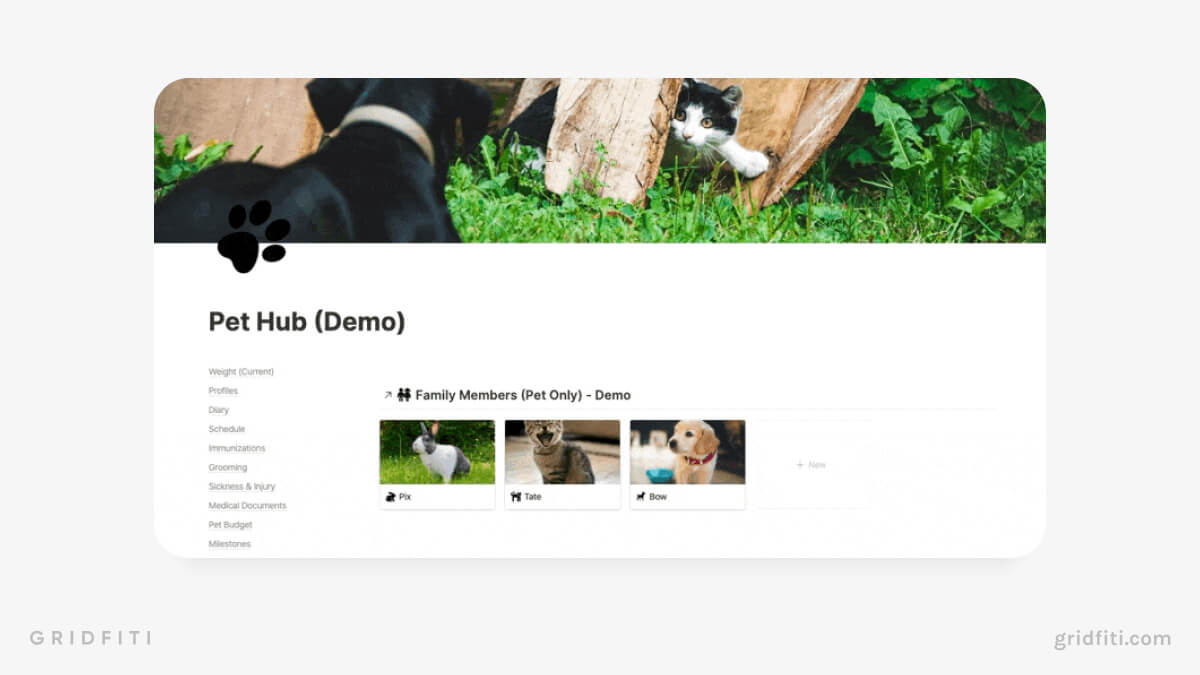 Notion Pet Hub Template