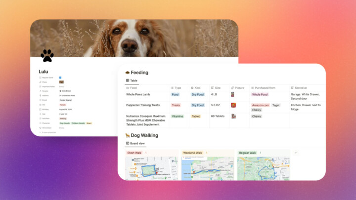 Notion Pet Templates