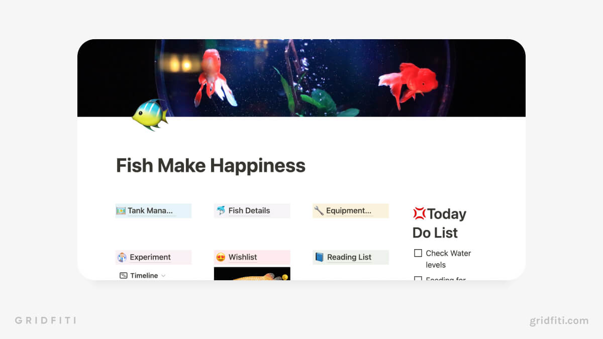 Notion Aquarium & Fish Tank Management Template