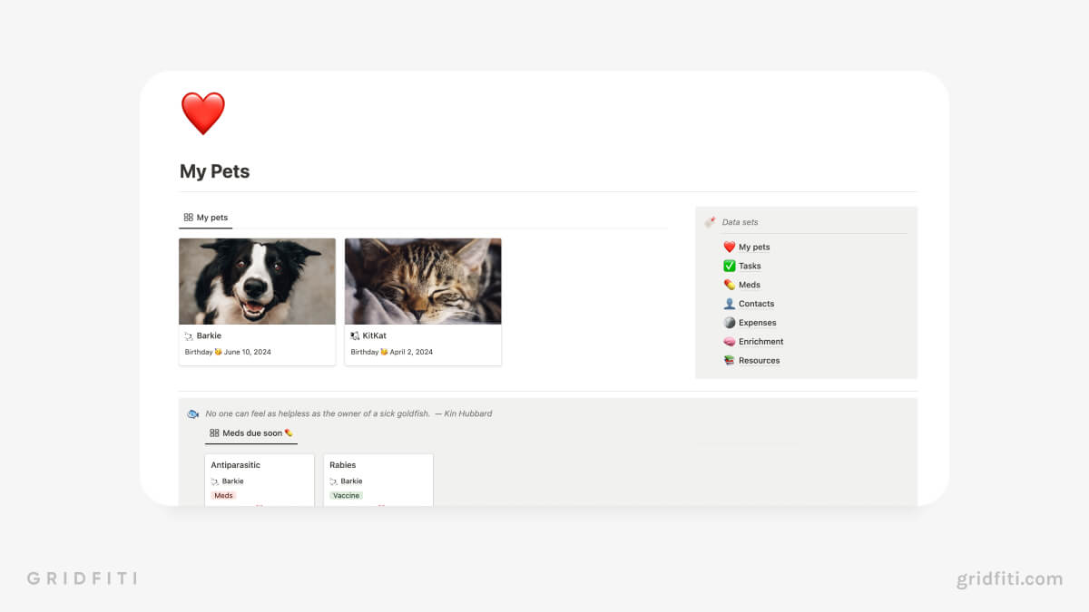 Notion Simple Pet Template with Reminders