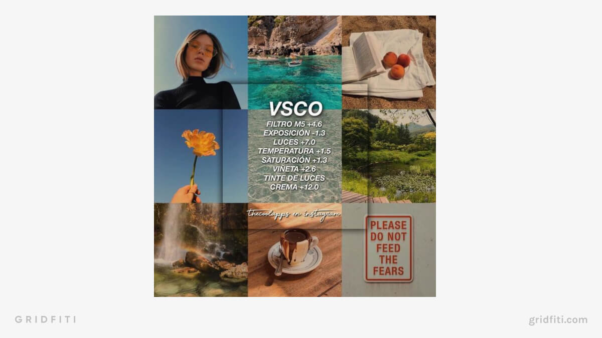 Natural Vibrance VSCO Recipe
