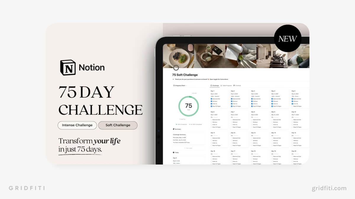 75 Day Challenge Notion Workspace