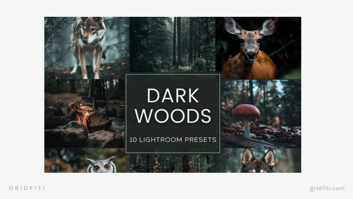 Dark Woods Lightroom Preset Pack