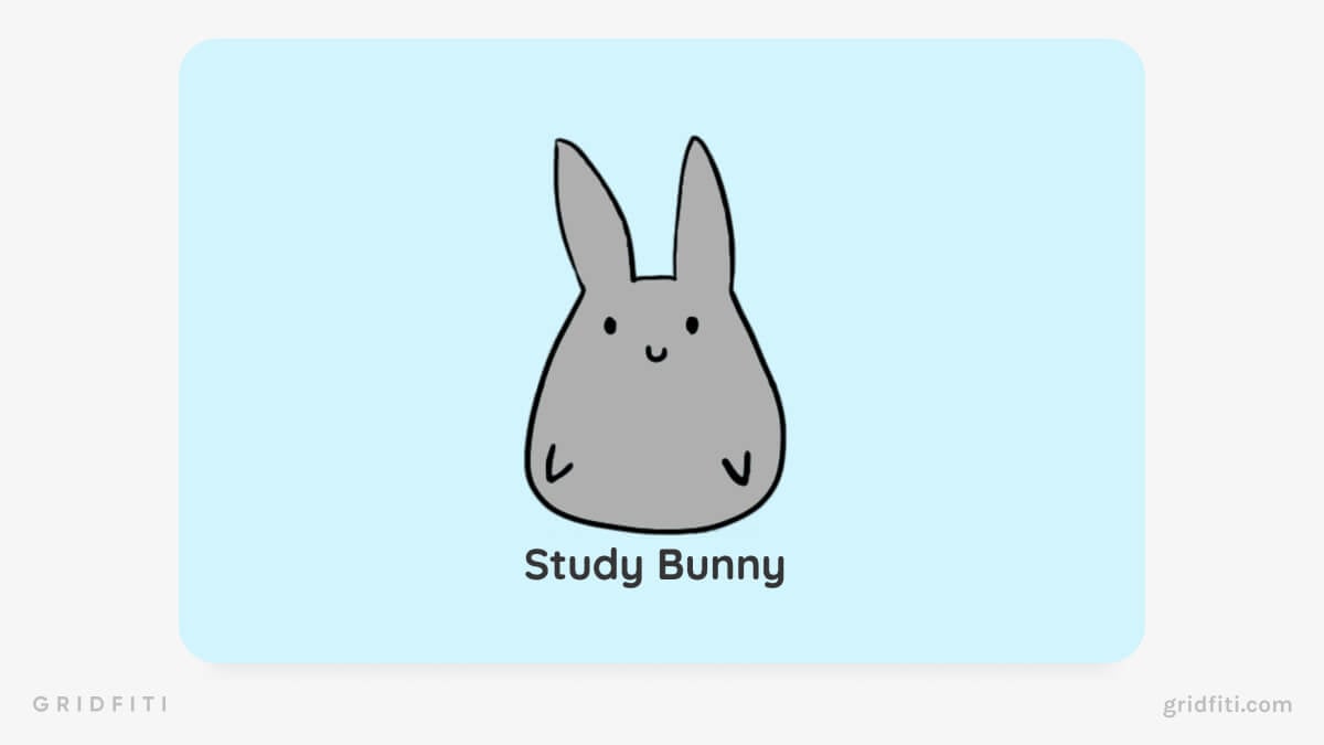 Study Bunny App