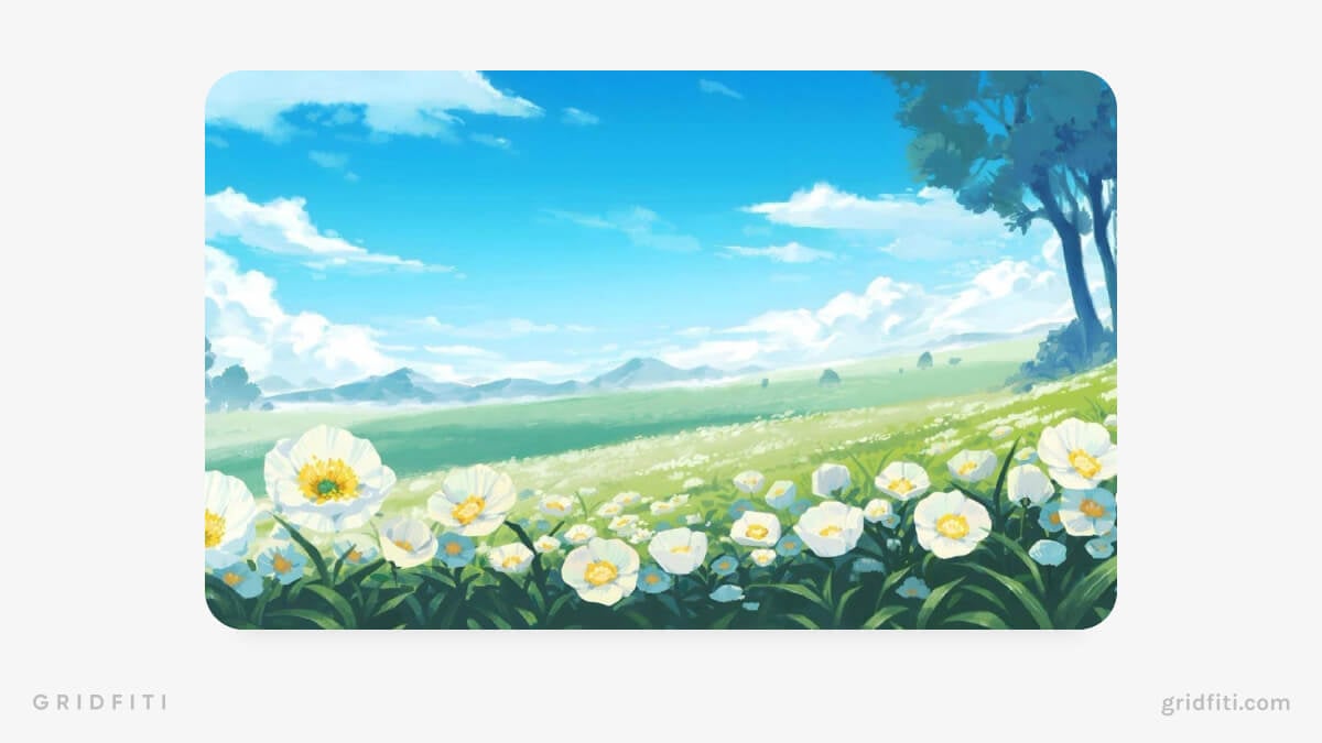 Summer Aesthetic Anki Backgrounds