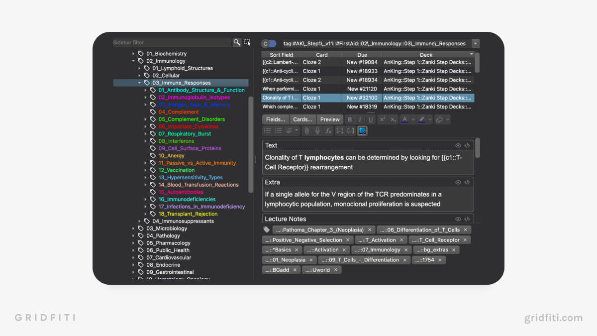 Colorful Tag Anki Add On